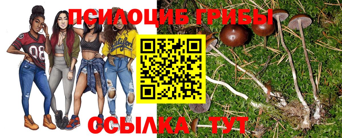 Тобольск  купить наркотики цена  Вход с VPN  Псилоцибиновые грибы MAGIC MUSHROOMS 